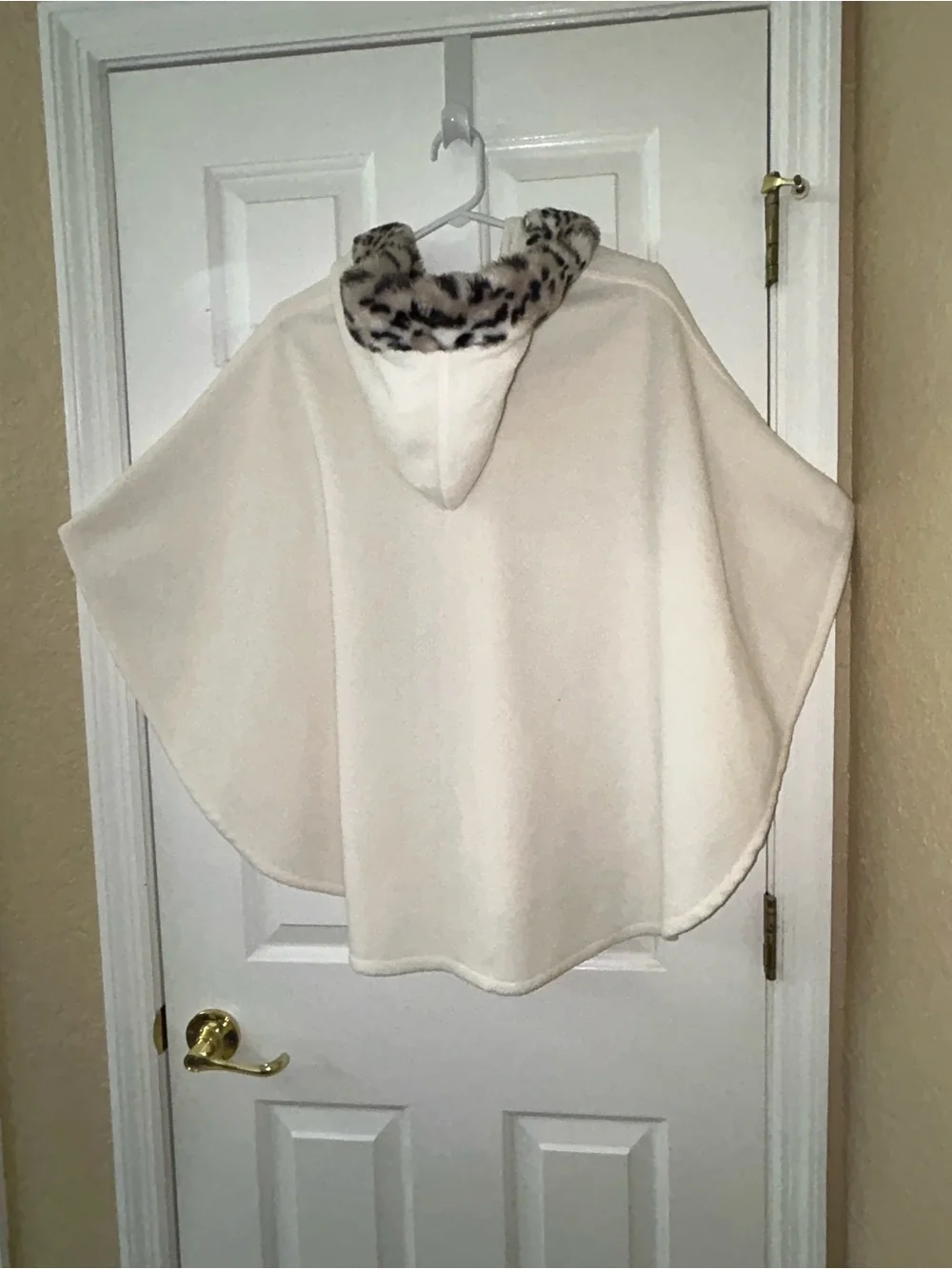 Envision Studio this light